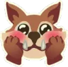 Cute Cute