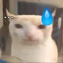1199039821042163852