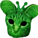 gnarp gnarp