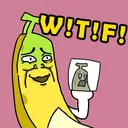 wtf1 wtf1