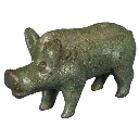 Boar