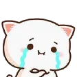 cry cry