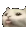 catbleh catbleh