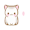 catshy