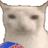 VeryCat
