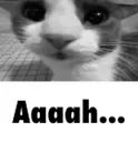 aaaah aaaah