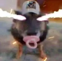 yoenmediapaja