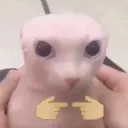 uwu uwu
