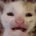 wh