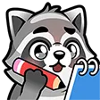 9302raccoon11243