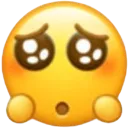 MJ_pls