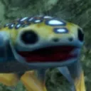 HAP