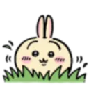 usagi_peek