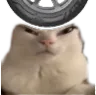 ranovernald