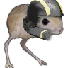 Jerboadiver