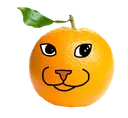 Joyrine