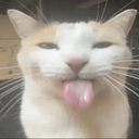bleeh Discord emoji