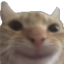 Gatiwi_smile Discord emoji