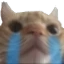 Gatiwi_lloron Discord emoji