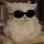 <:cool:1268963402143764531>