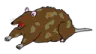 cpp_rat