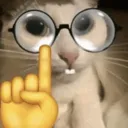 catnerd