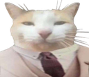 Bleehfino Discord emoji