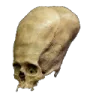 long_skull