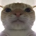 861059473EB949E9BB7487C820D70E73