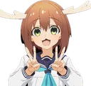 shika2 shika2