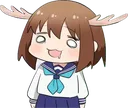 shika1