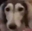 huh huh