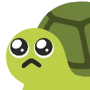 26053ceupleadingturtle