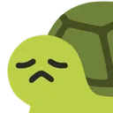 11133ceudisappointedturtle