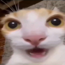 :jeebs: