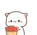 gatinhocorao