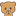 :1Bear_Pray: