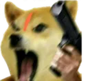 angrydog