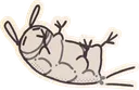 bapyreach