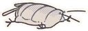 bapyflop