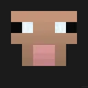 1215_Mincraft_party_sheep
