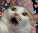 wow Discord emoji