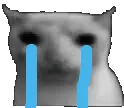 crying_bruhcat crying_bruhcat