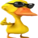 coolduck coolduck