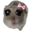 bubblysweetie