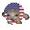 usarun