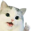 A_catlike A_catlike