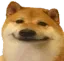 FNL_doge_heh_cheems