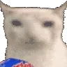 crunchcat crunchcat