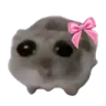 HAMSTERsadgirl